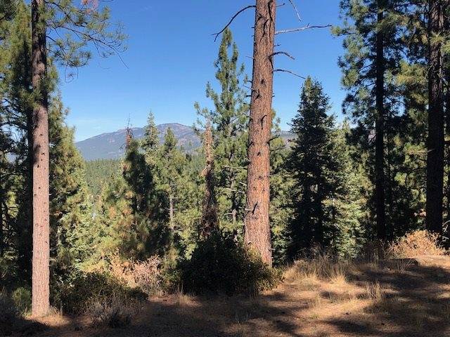 Truckee, CA 96161,Parcel C Kent Drive