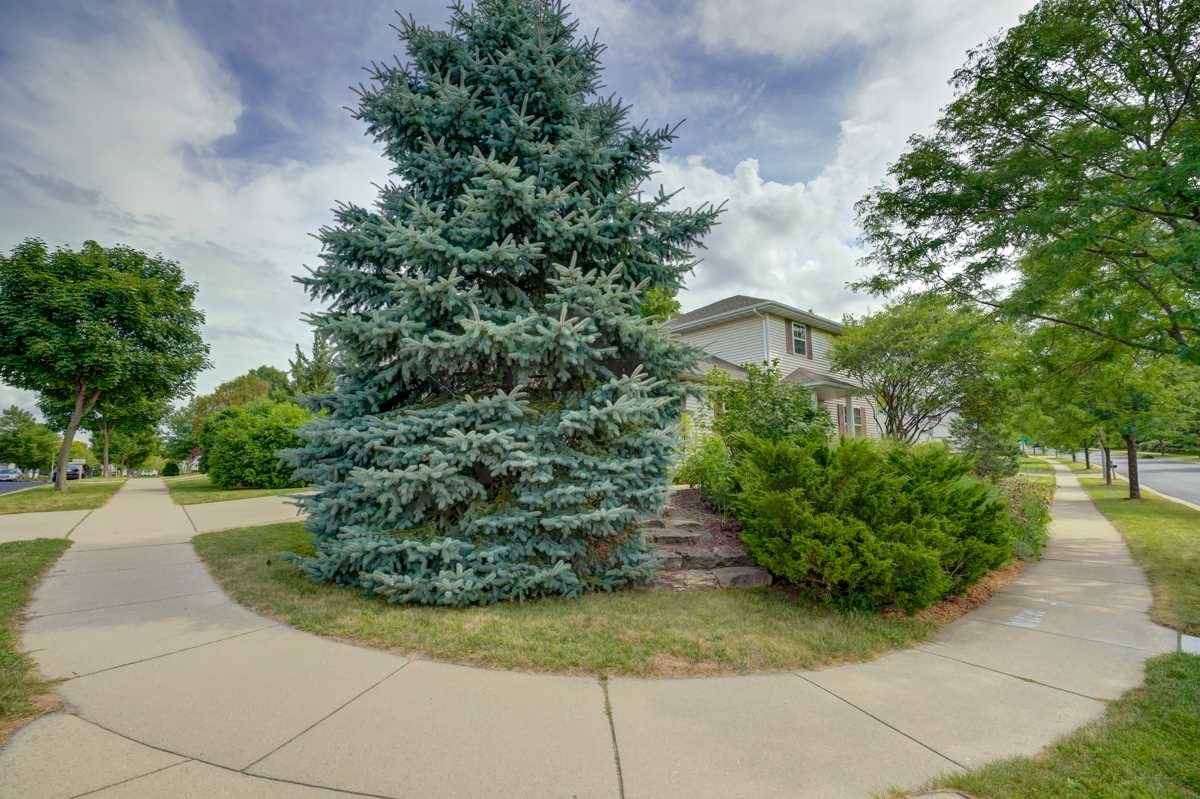 Madison, WI 53719,3833 Dolphin Dr