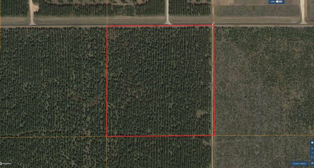 Nekoosa, WI 54457,40 AC Lot 4 Akron Dr