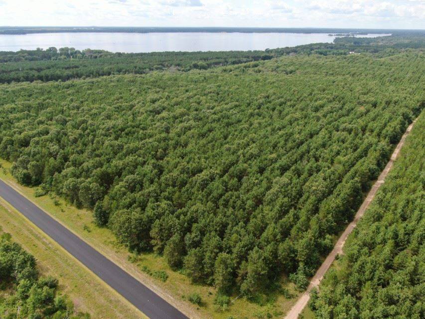 Nekoosa, WI 54457,40 AC Lot 4 Akron Dr