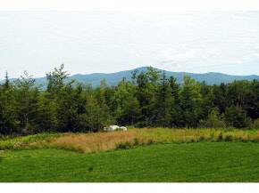 Tuftonboro, NH 03816,Lot 10 Farm Pond RD #Lot 10