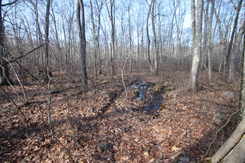 Douglas, MA 01516,75 Old Farm RD