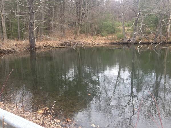 Ashfield, MA 01330,Lot 7 March RD