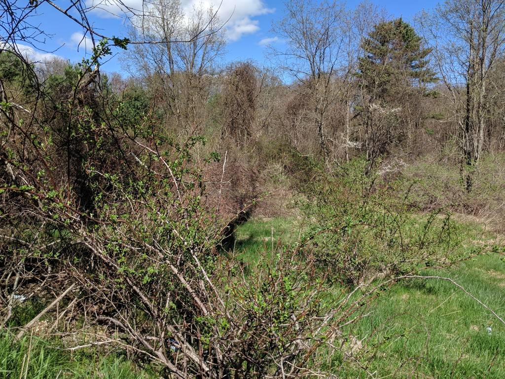 Auburn, MA 01501,289 SOUTH STREET, LOT 3