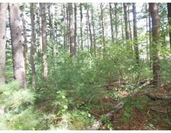 Rehoboth, MA 02769,25 Columbine RD