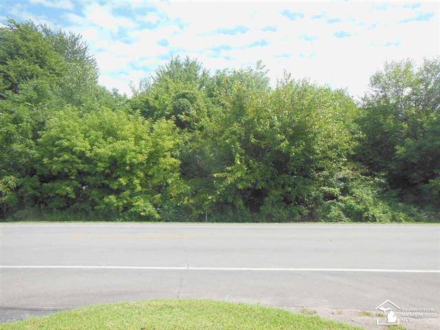 Bedford Twp, MI 48182,PARCEL B LEWIS