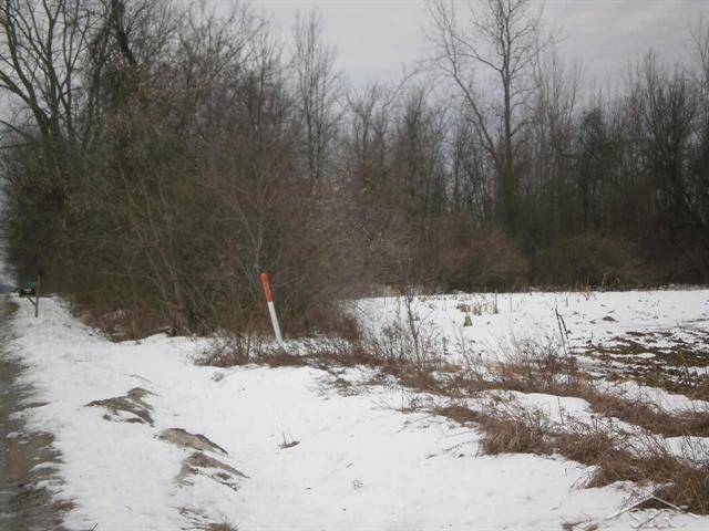 Tittabawassee Twp, MI 48623,9000 WEBSTER PARCEL 1