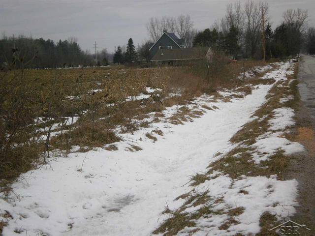 Tittabawassee Twp, MI 48623,9000 WEBSTER PARCEL 1