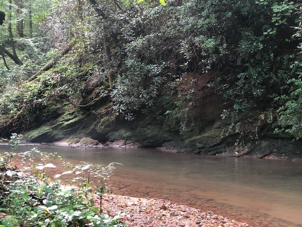 Clayton, GA 30525,0 heavenly CIR