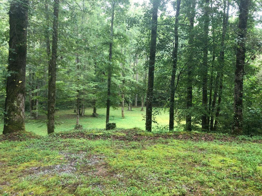 Clayton, GA 30525,0 heavenly CIR