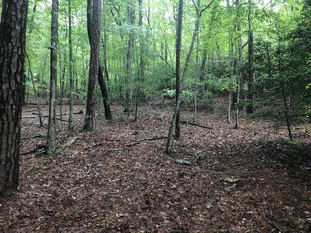 Morganton, GA 30560,Lot 9 Hunter's Ridge