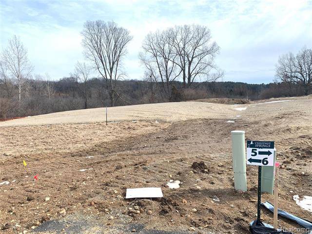 Genoa Twp, MI 48843,000 Chestnut Springs Dr Lot# 6