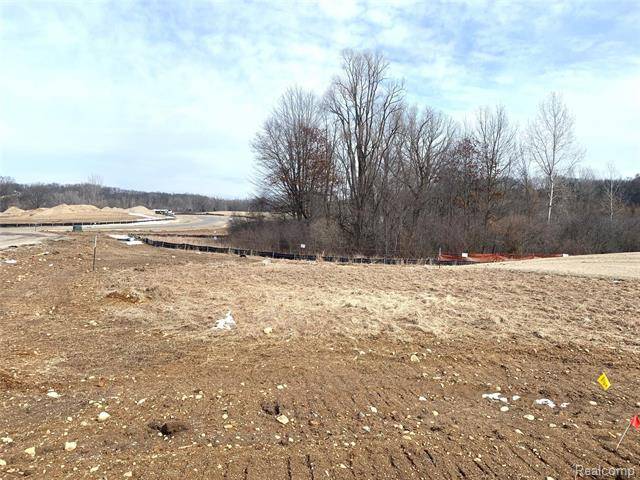 Genoa Twp, MI 48843,000 Chestnut Springs Dr Lot# 6