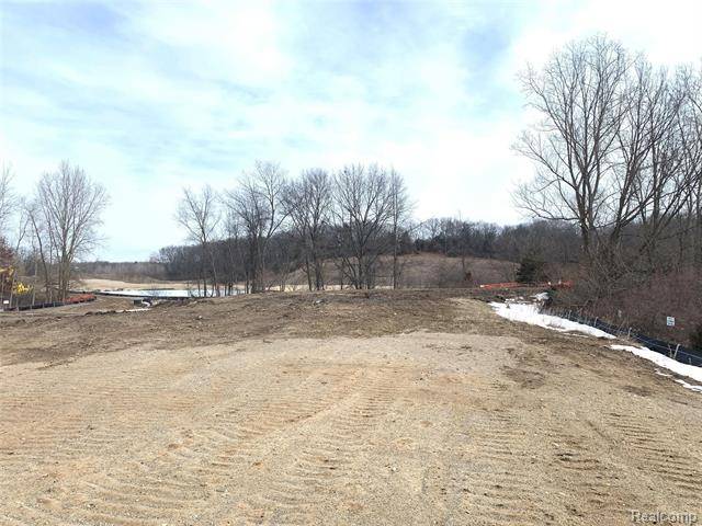 Genoa Twp, MI 48843,000 Chestnut Springs Dr Lot# 9