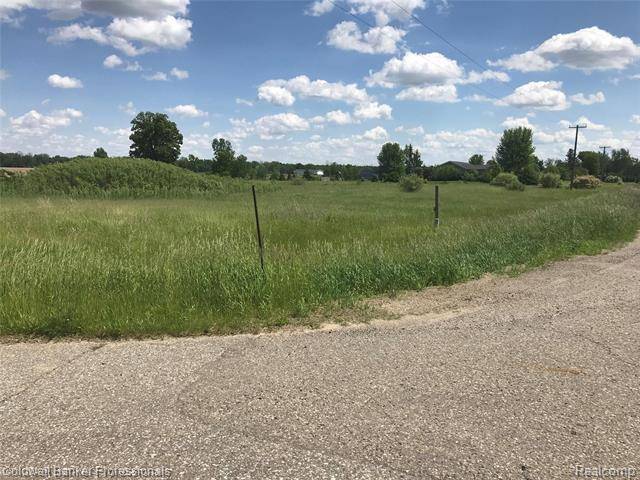 Rich Twp, MI 48435,0000 N LAPEER RD