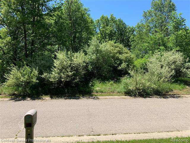 Addison Twp, MI 48370,Lot 3 Oak Trail