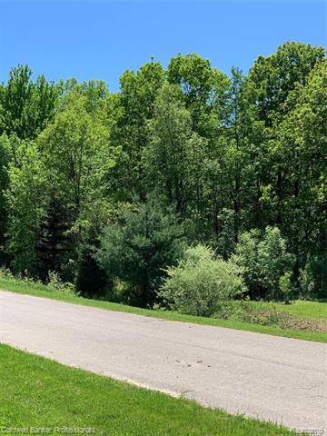 Addison Twp, MI 48370,Lot 3 Oak Trail