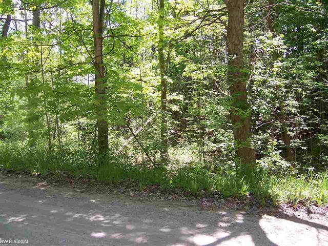 Wales Twp, MI 48027,LOT B LASHBROOK RD VACANT