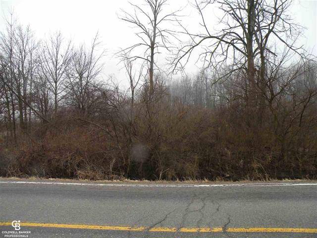 Wales Twp, MI 48027,00 COVE - 3.2 ACRES