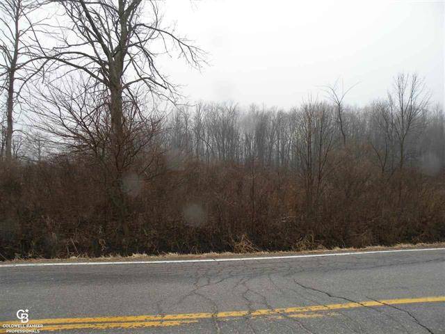 Wales Twp, MI 48027,00 COVE - 3.2 ACRES