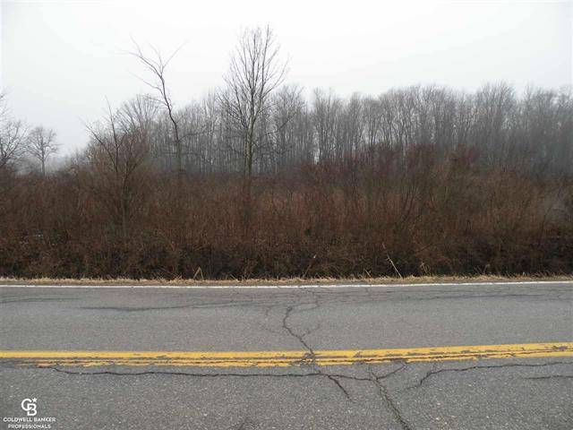 Wales Twp, MI 48027,00 COVE - 3.2 ACRES