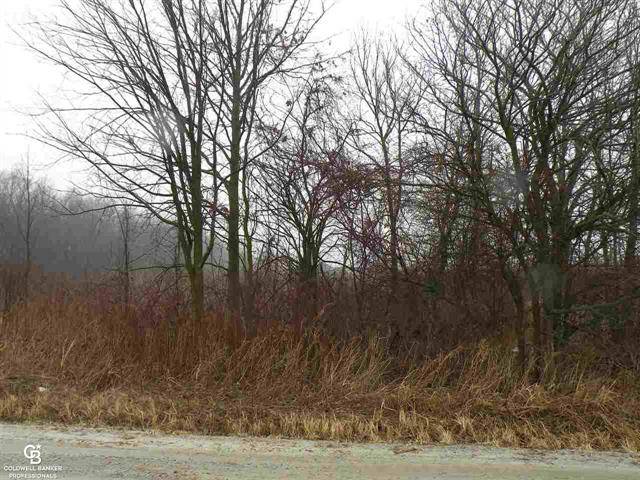 Wales Twp, MI 48027,00 COVE - 3.2 ACRES