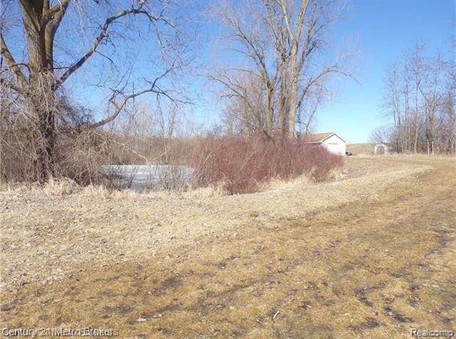 Goodland Twp, MI 48444,Parcel D Lyons RD