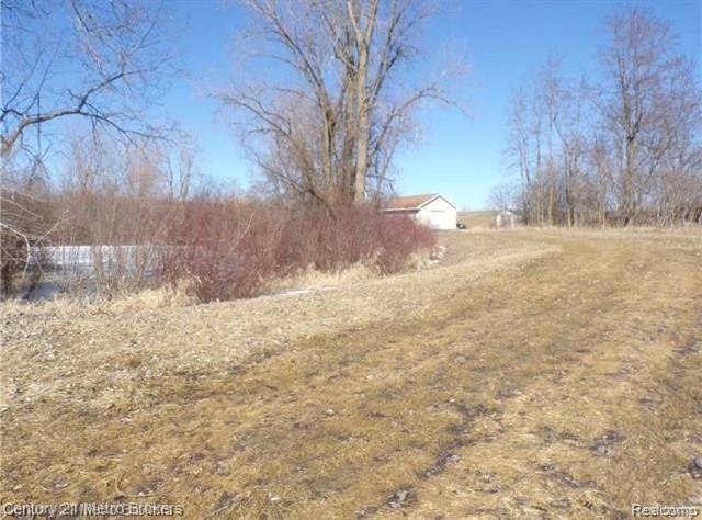 Goodland Twp, MI 48444,Parcel D Lyons RD