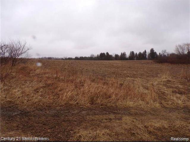 Goodland Twp, MI 48444,Parcel I Lyons RD