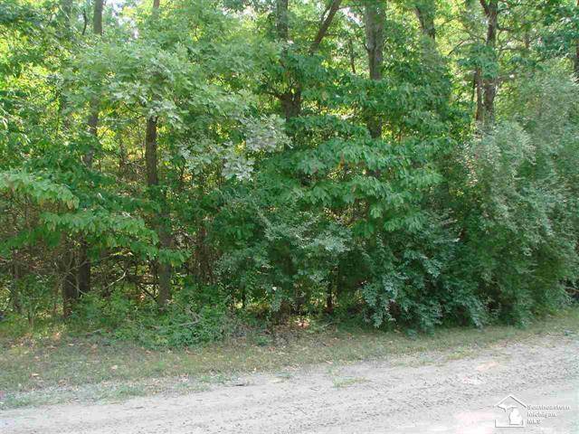 Ida Twp, MI 49270,00 WELLS RD - PARCEL 1