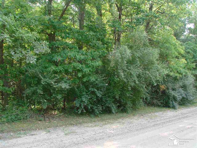 Ida Twp, MI 49270,00 WELLS RD - PARCEL 1