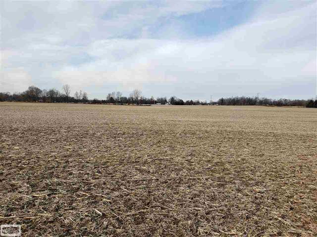 Almont Twp, MI 48003,0 KIDDER