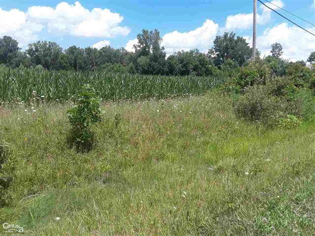 Columbus Twp, MI 48063,0 DIVISION RD