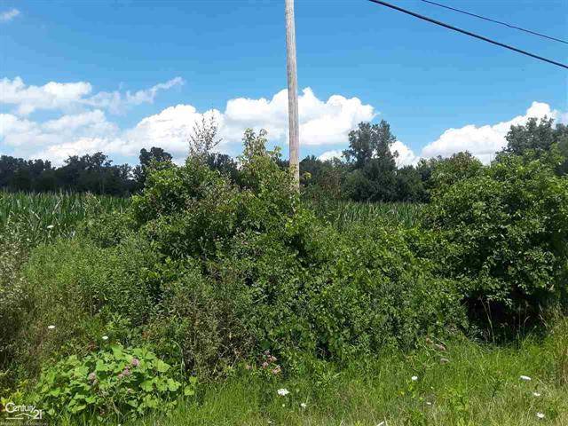 Columbus Twp, MI 48063,0 DIVISION RD