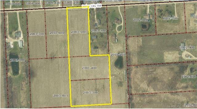 Kenockee Twp, MI 48006,0 IMLAY CITY RD