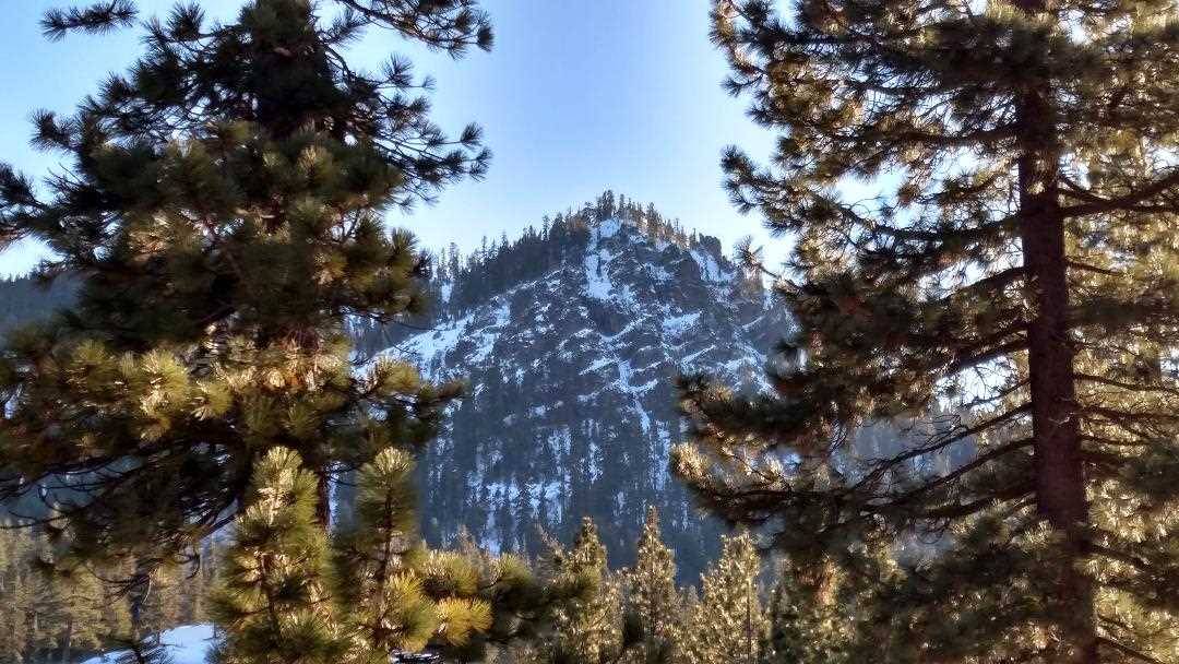 Alpine Meadows, CA 96146-0000,1492 Davos Court
