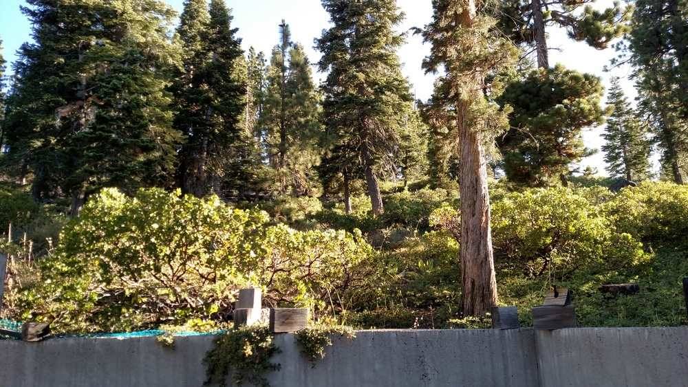 Alpine Meadows, CA 96146-0000,1492 Davos Court