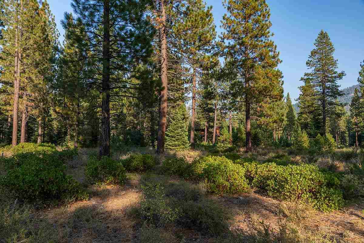 Truckee, CA 96161,Corner lot 390 Schroeder Way #