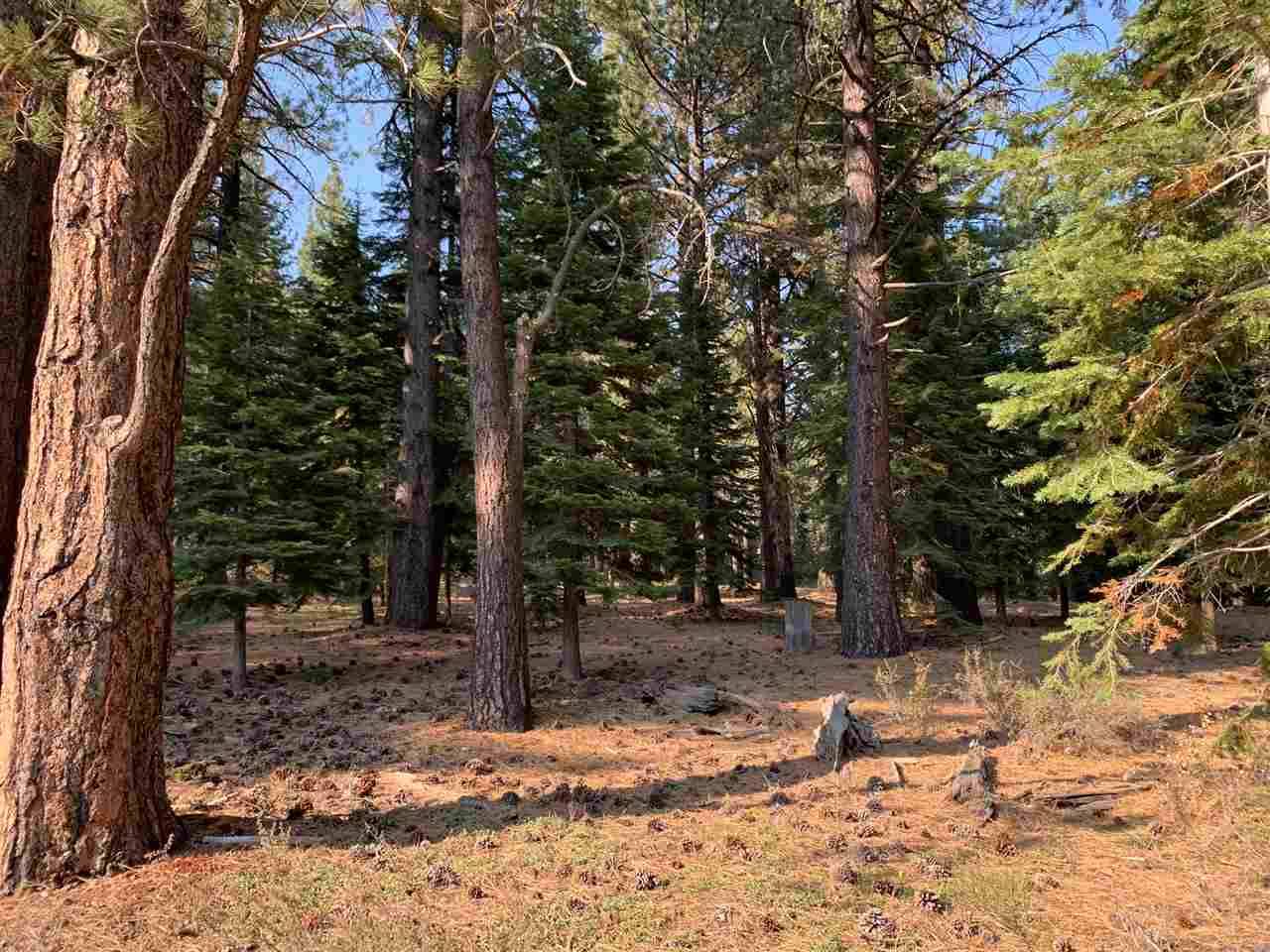 Truckee, CA 96161,11060 Parkland Drive