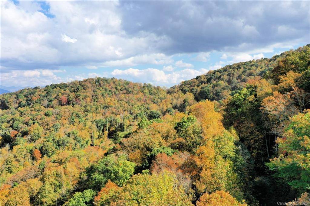Sylva, NC 28779,VL40 Mountain Forest Estates None #40