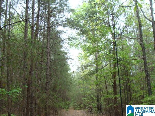 Vance, AL 35490,00 BLACKBERRY RIDGE ROAD #50