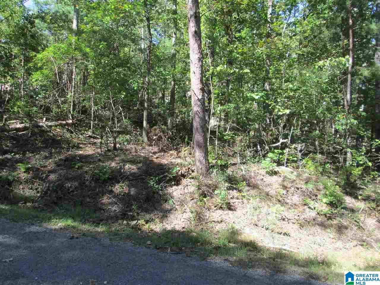 Pinson, AL 35126,Lot 161 CREEKSIDE DRIVE #1