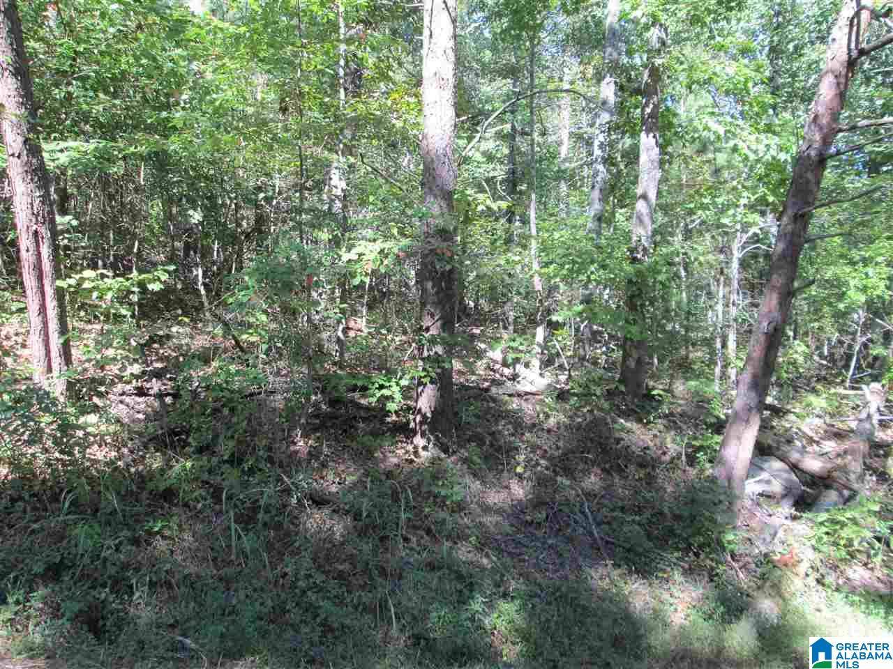 Pinson, AL 35126,Lot 161 CREEKSIDE DRIVE #1