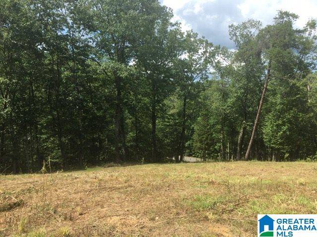 Columbiana, AL 35051,90 STILLWOOD DR #9