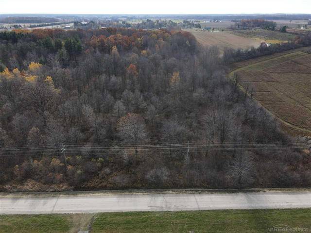 Wales Twp, MI 48027,0000 SMITHS CREEK RD.