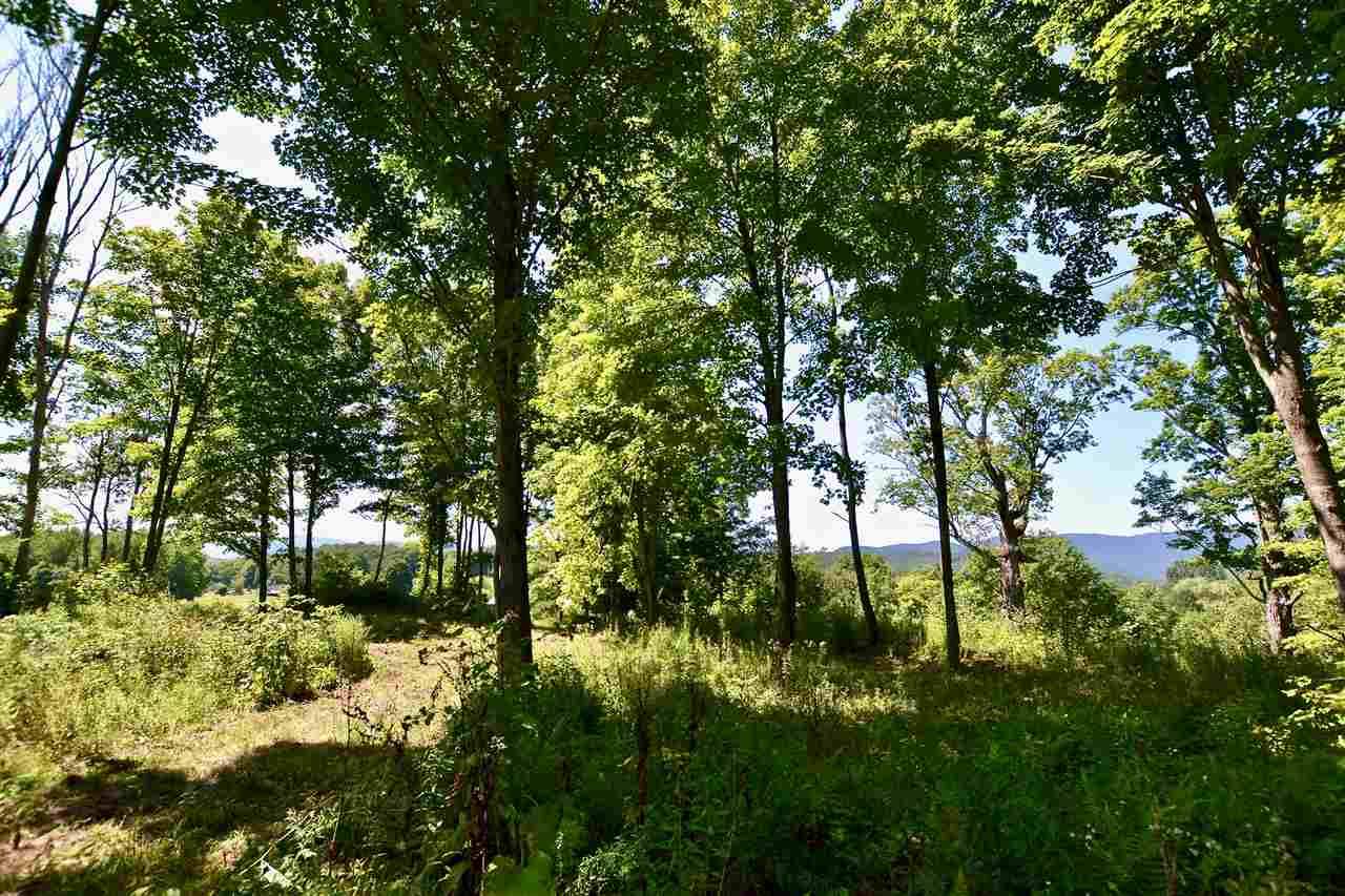 Waterbury, VT 05677,Lot 6 Guptil RD #6