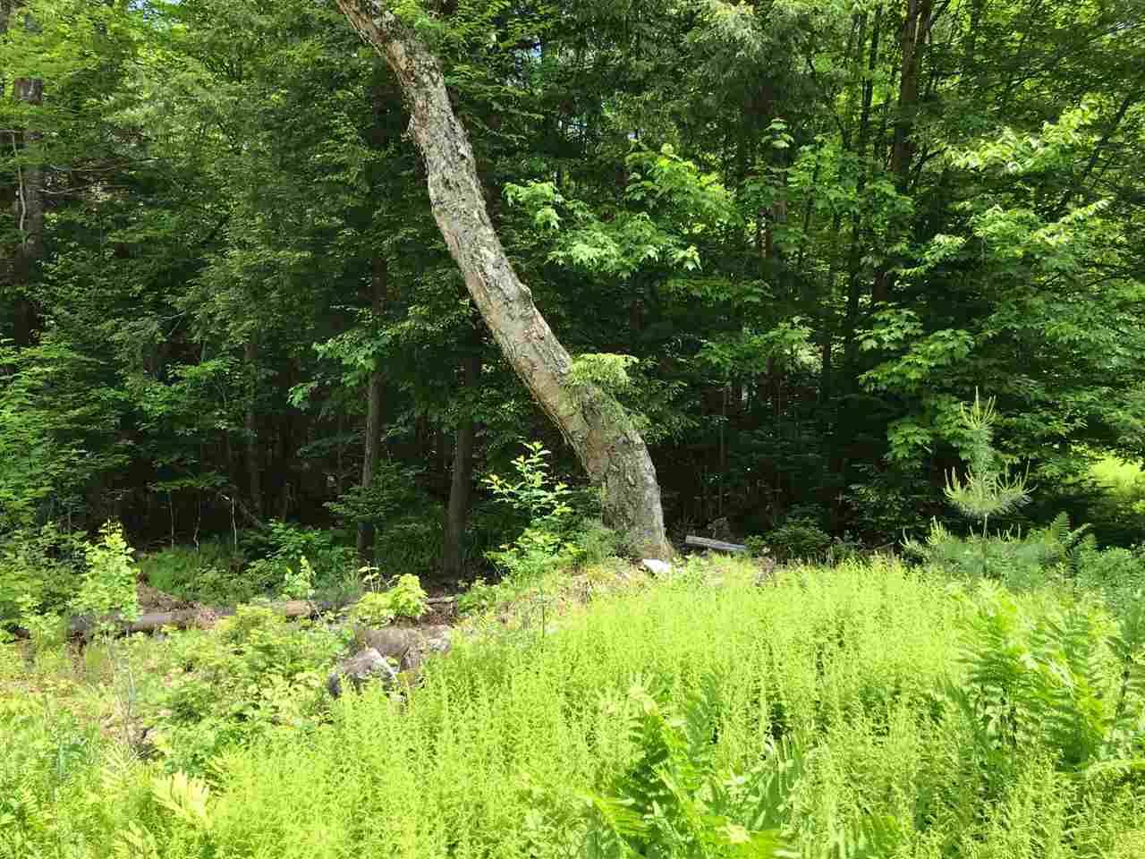 Thornton, NH 03285,Lot #40 Mt. View DR