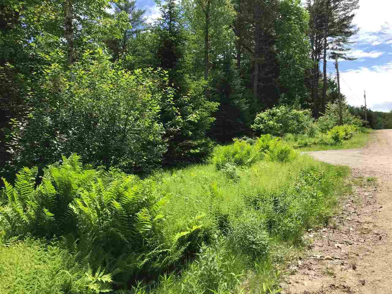 Thornton, NH 03285,Lot #40 Mt. View DR