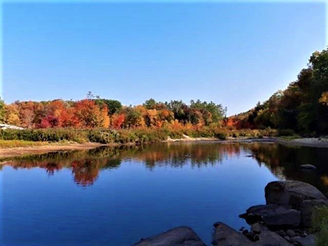 Thornton, NH 03285,10 Herbert LN