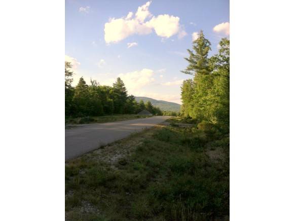 Conway, NH 03813,Lot 17 Pemigewasset DR